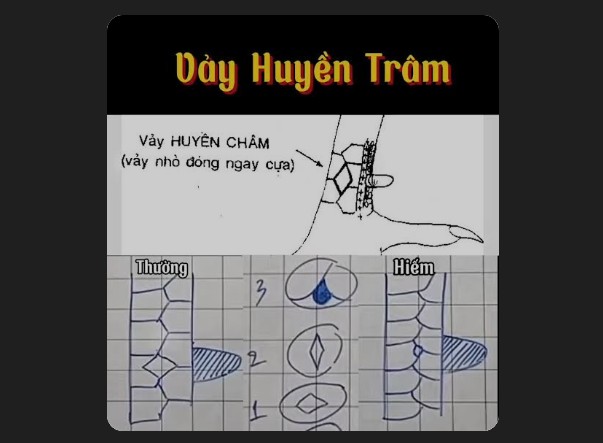 Đặc điểm nhận dạng của vảy Huyền Trâm